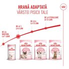 Royal Canin Mother & BabyCat Hrană uscată pentru pisici, mama și puiul 4 kg