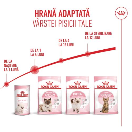 Royal Canin Mother & BabyCat Hrană uscată pentru pisici, mama și puiul 4 kg