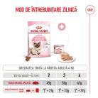 Royal Canin Mother & BabyCat Hrană uscată pentru pisici, mama și puiul 4 kg