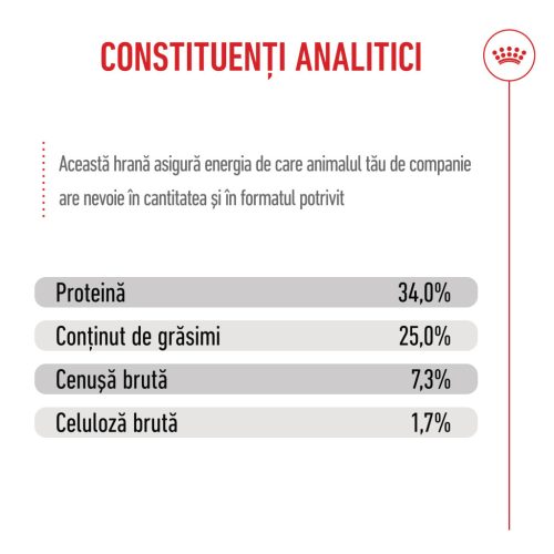 Royal Canin Mother & BabyCat Hrană uscată pentru pisici, mama și puiul 4 kg