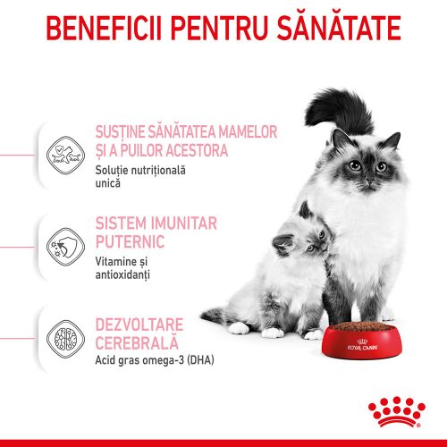 Royal Canin Mother & BabyCat Hrană uscată pentru pisici, mama și puiul 4 kg