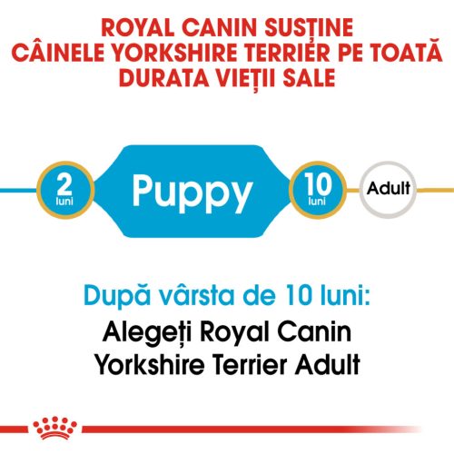 Royal Canin Yorkshire Puppy Hrană uscată pentru câini junior 1,5 kg