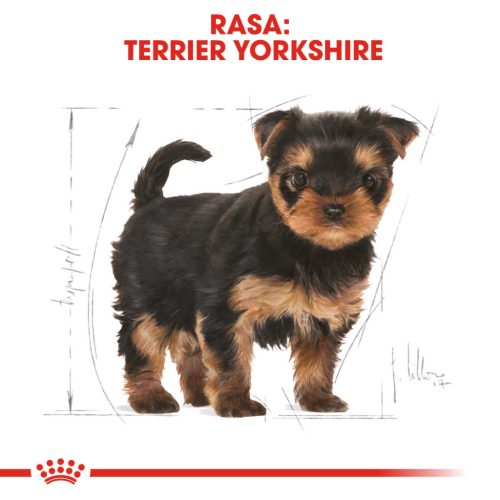 Royal Canin Yorkshire Puppy Hrană uscată pentru câini junior 1,5 kg