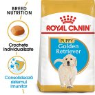 Royal Canin Golden Retriever Puppy Hrană uscată pentru câini junior 12 kg
