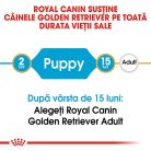 Royal Canin Golden Retriever Puppy Hrană uscată pentru câini junior 12 kg
