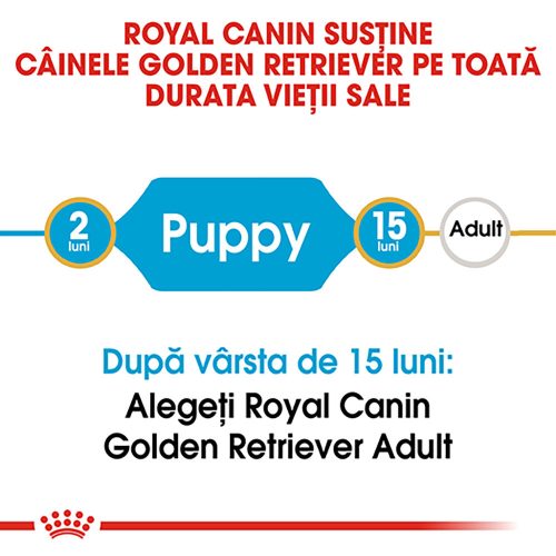 Royal Canin Golden Retriever Puppy Hrană uscată pentru câini junior 12 kg
