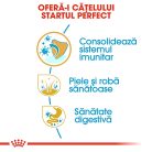 Royal Canin Golden Retriever Puppy Hrană uscată pentru câini junior 12 kg