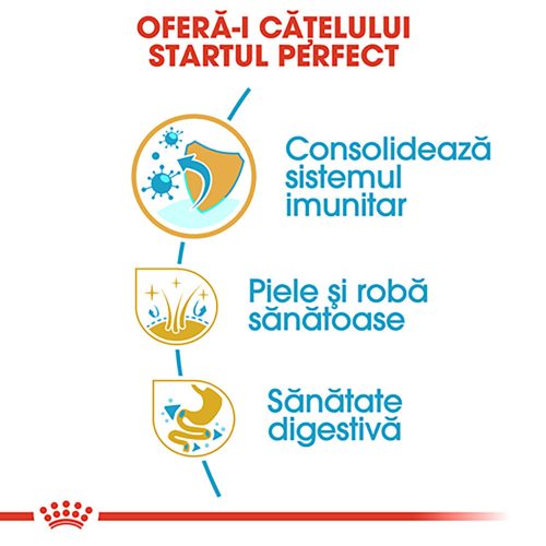 Royal Canin Golden Retriever Puppy Hrană uscată pentru câini junior 12 kg