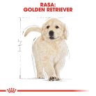 Royal Canin Golden Retriever Puppy Hrană uscată pentru câini junior 12 kg