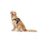 Julius K9 IDC Powerharness Ham pentru câini L negru