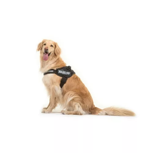 Julius K9 IDC Powerharness Ham pentru câini L negru
