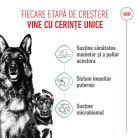Royal Canin Maxi Starter Mother & BabyDog Hană uscată pentru câini, mama și puiul 15 kg 