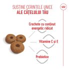 Royal Canin Maxi Starter Mother & BabyDog Hană uscată pentru câini, mama și puiul 15 kg 