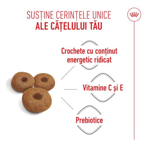 Royal Canin Maxi Starter Mother & BabyDog Hană uscată pentru câini, mama și puiul 15 kg 
