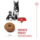 Royal Canin Maxi Starter Mother & BabyDog Hană uscată pentru câini, mama și puiul 15 kg 