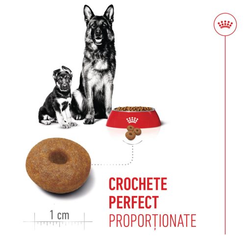 Royal Canin Maxi Starter Mother & BabyDog Hană uscată pentru câini, mama și puiul 15 kg 