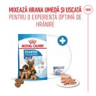 Royal Canin Maxi Starter Mother & BabyDog Hană uscată pentru câini, mama și puiul 15 kg 