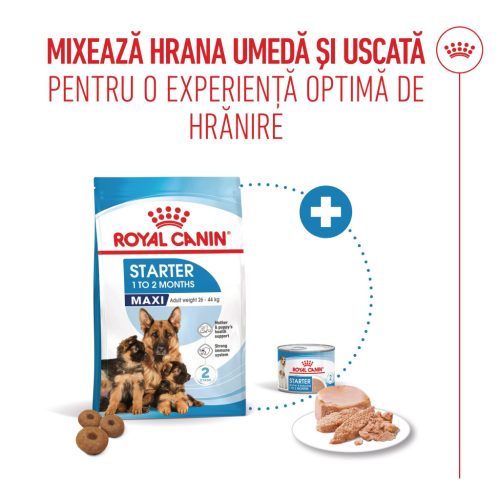 Royal Canin Maxi Starter Mother & BabyDog Hană uscată pentru câini, mama și puiul 15 kg 