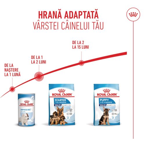 Royal Canin Maxi Starter Mother & BabyDog Hană uscată pentru câini, mama și puiul 15 kg 