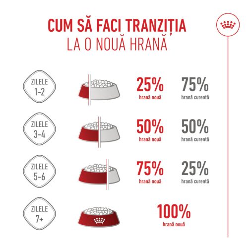 Royal Canin Maxi Starter Mother & BabyDog Hană uscată pentru câini, mama și puiul 15 kg 