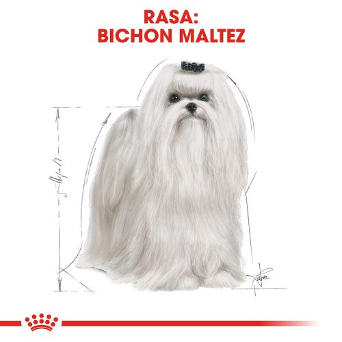 Royal Canin Maltese Adult Hrană uscată pentru câini 1,5 kg