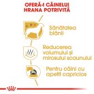 Royal Canin Maltese Adult Hrană uscată pentru câini 1,5 kg