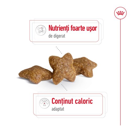 Royal Canin Mini Adult Hrană uscată pentru câini 4 kg