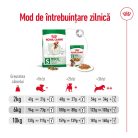 Royal Canin Mini Adult Hrană uscată pentru câini 4 kg