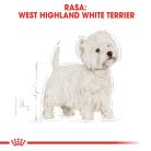 Royal Canin West Highland Terrier Adult Hrană uscată pentru câini Westi, 3 kg