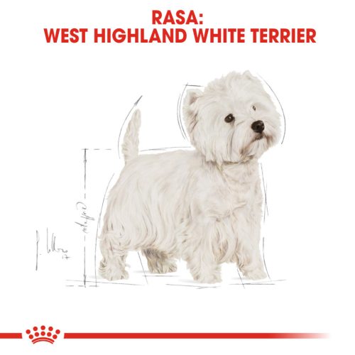 Royal Canin West Highland Terrier Adult Hrană uscată pentru câini Westi, 3 kg