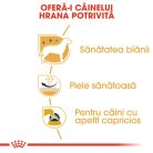 Royal Canin West Highland Terrier Adult Hrană uscată pentru câini Westi, 3 kg