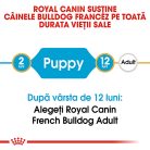 Royal Canin French Bulldog Puppy Hrană uscată pentru câini 3 kg