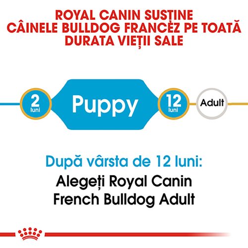 Royal Canin French Bulldog Puppy Hrană uscată pentru câini 3 kg