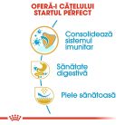 Royal Canin French Bulldog Puppy Hrană uscată pentru câini 3 kg