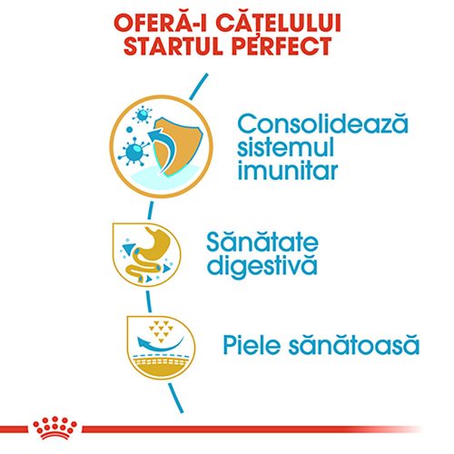 Royal Canin French Bulldog Puppy Hrană uscată pentru câini 3 kg