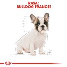 Royal Canin French Bulldog Puppy Hrană uscată pentru câini 3 kg