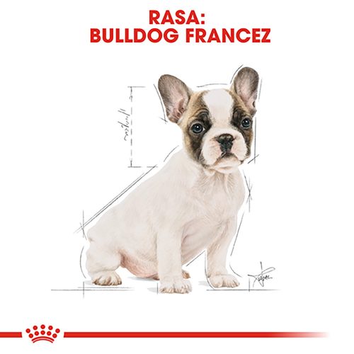 Royal Canin French Bulldog Puppy Hrană uscată pentru câini 3 kg
