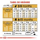 Royal Canin French Bulldog Puppy Hrană uscată pentru câini 3 kg