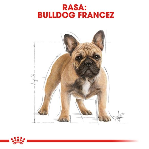 Royal Canin French Bulldog Adult Hrană uscată pentru câini 3 kg