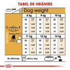 Royal Canin French Bulldog Adult Hrană uscată pentru câini 3 kg