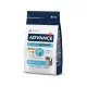 Advance Junior Hrană uscată pentru pisici 1,5 kg