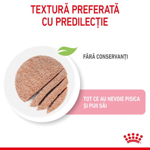 Royal Canin Mother & BabyCat Hrană umedă pentru pisici, mama și puiul 195 g
