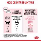 Royal Canin Mother & BabyCat Hrană umedă pentru pisici, mama și puiul 195 g