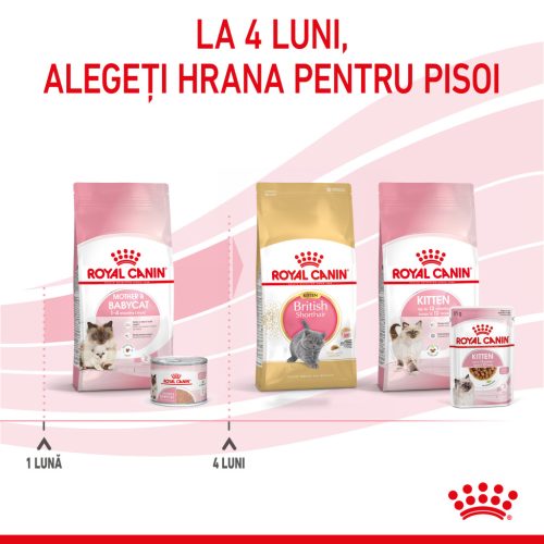 Royal Canin Mother & BabyCat Hrană umedă pentru pisici, mama și puiul 195 g