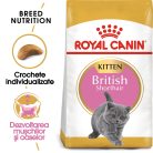 Royal Canin British Shorthair Kitten Hrană uscată pentru pisici junior 2 kg