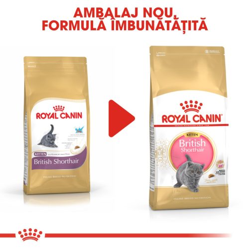 Royal Canin British Shorthair Kitten Hrană uscată pentru pisici junior 2 kg