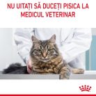 Royal Canin Digestive Care Adult Hrană uscată pentru pisici 2 kg