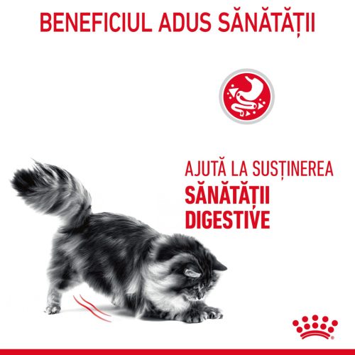 Royal Canin Digestive Care Adult Hrană uscată pentru pisici 2 kg