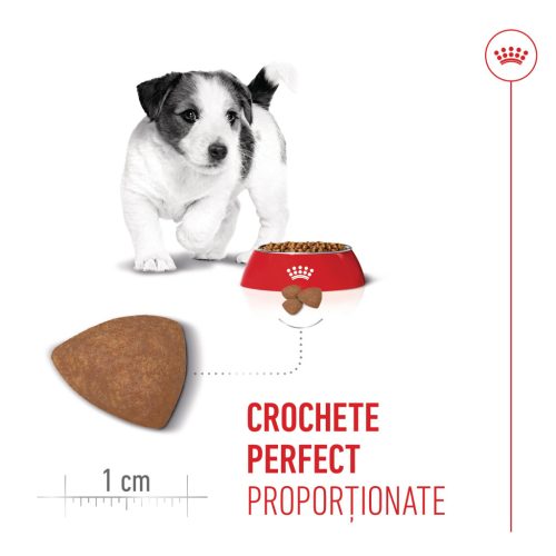 Royal Canin Mini Puppy Hană uscată pentru câini junior 4 kg
