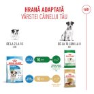 Royal Canin Mini Puppy Hană uscată pentru câini junior 4 kg